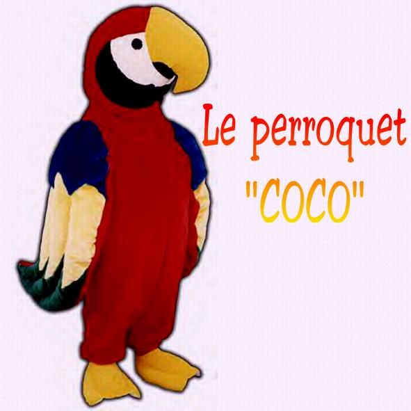 Perroquet senior