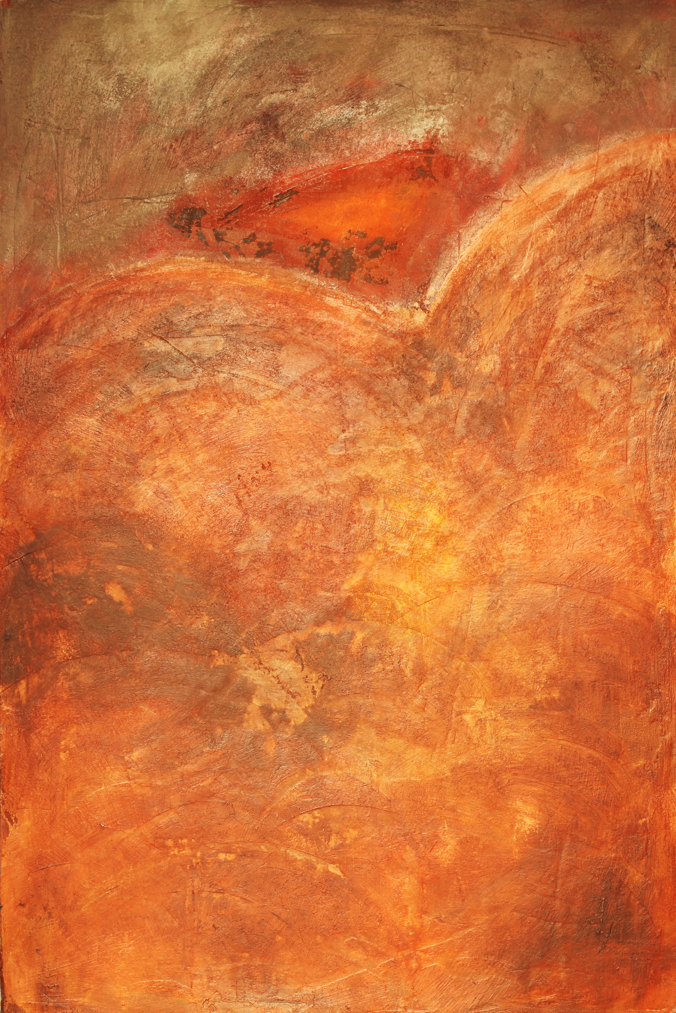 1195X800