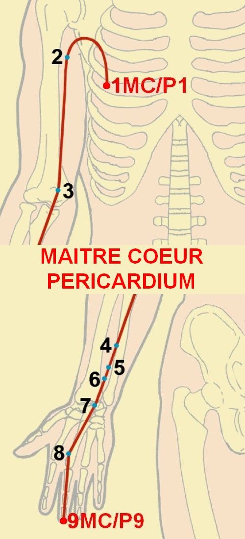 09 maitre coeur pericardium 1 9
