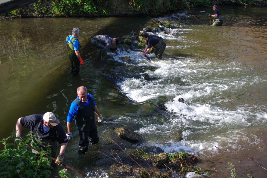 2014 0518 nettoyage riviere jamioulx 3