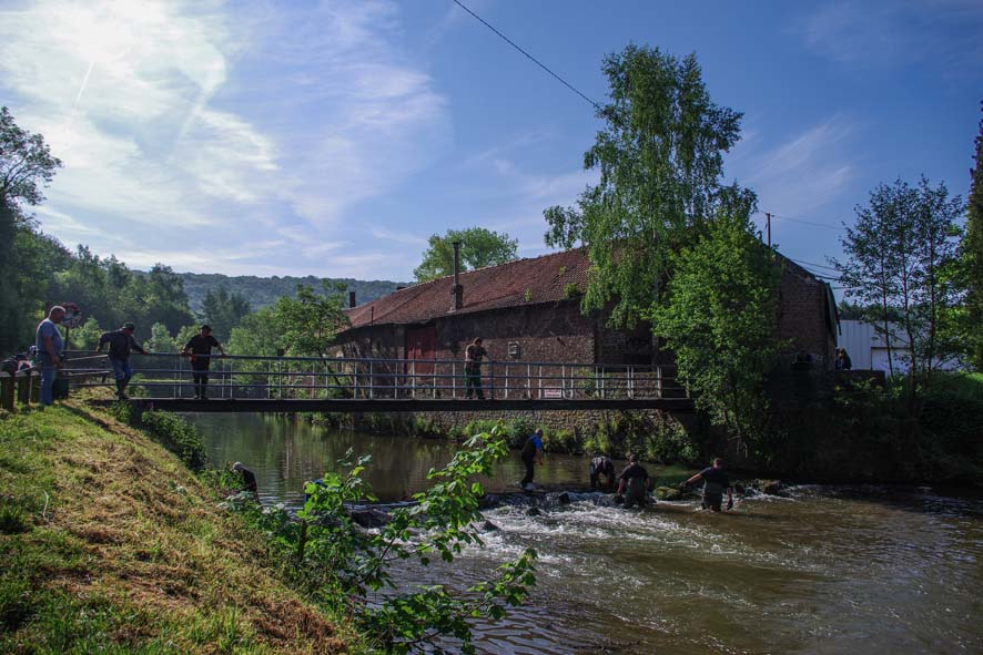 2014 0518 nettoyage riviere jamioulx 4