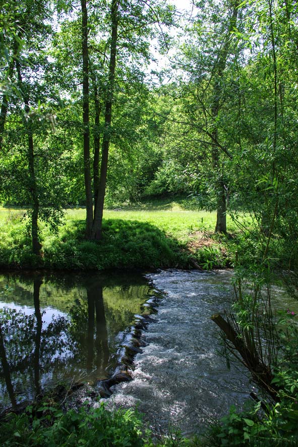 2014 0518 nettoyage riviere jamioulx 7