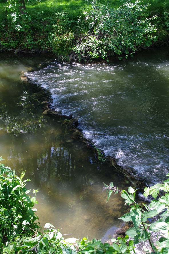 2014 0518 nettoyage riviere jamioulx 10