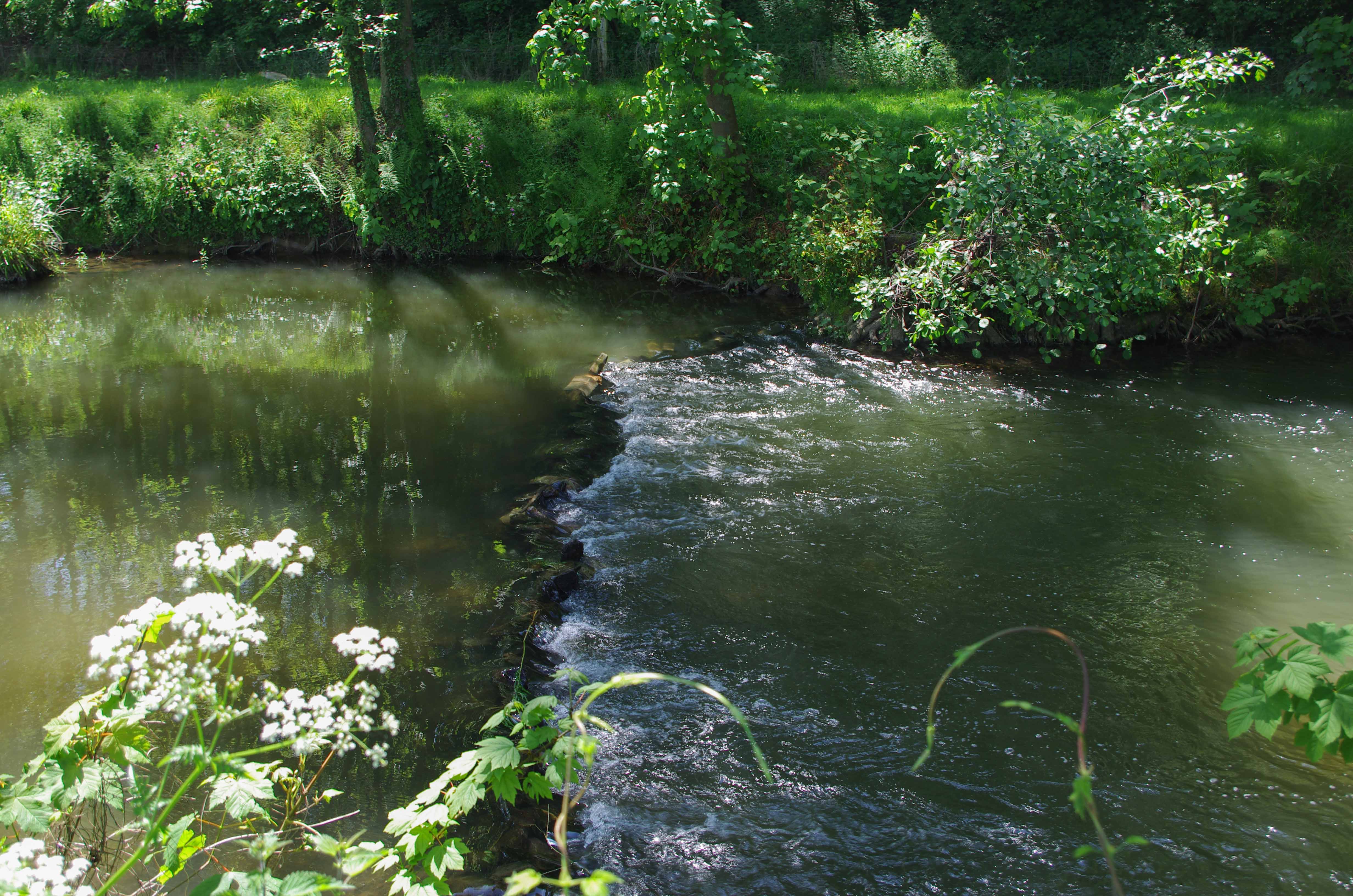 2014 0518 nettoyage riviere jamioulx 11