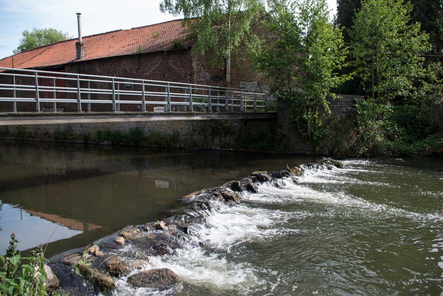 2014 0518 nettoyage riviere jamioulx 13