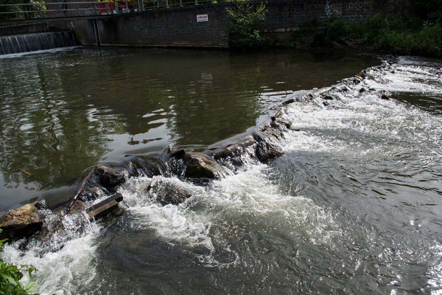 2014 0518 nettoyage riviere jamioulx 15