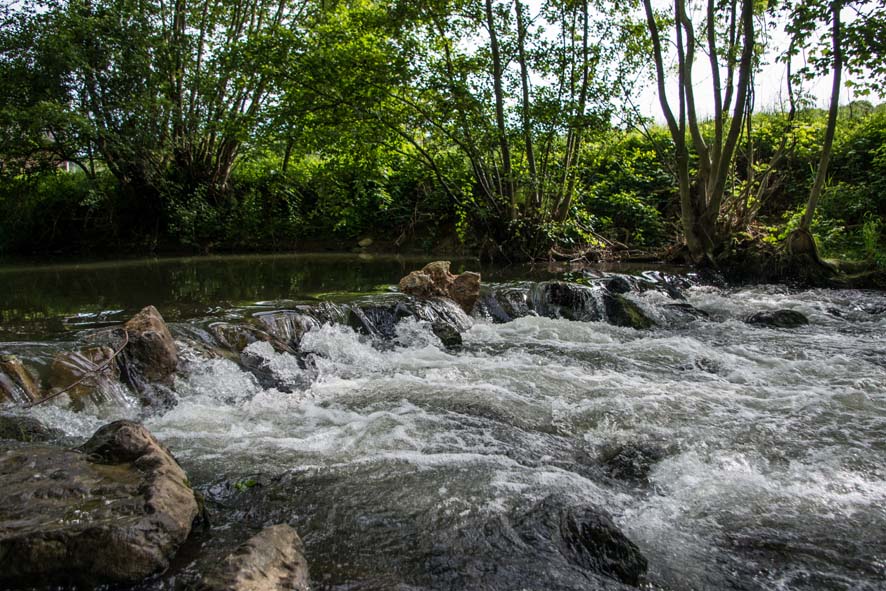 2014 0518 nettoyage riviere jamioulx 17