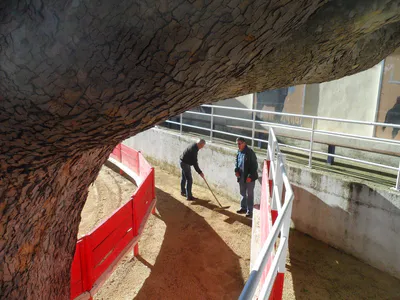 Entretien de la piste 14