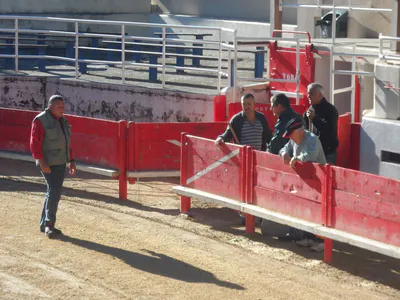 Entretien de la piste 21