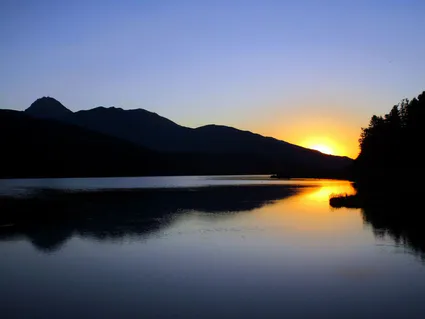 13767362 1055176611232833 8291094820644317672 o