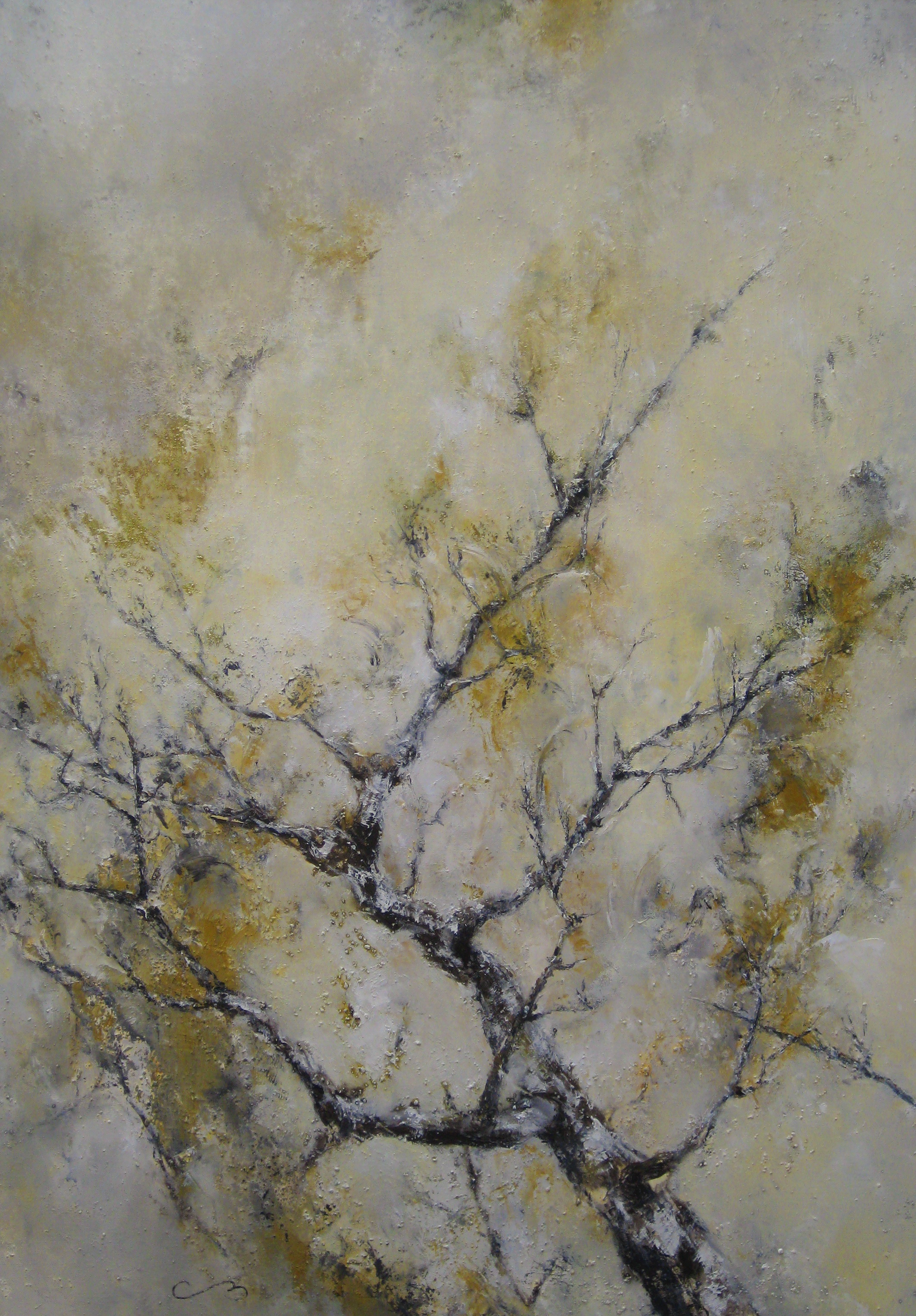 Arbres 2 043
