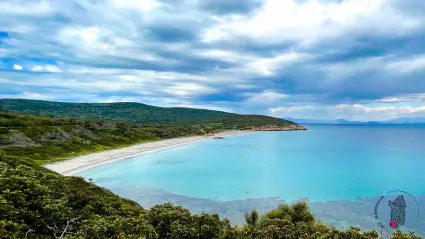 Plage coaquaddus logo