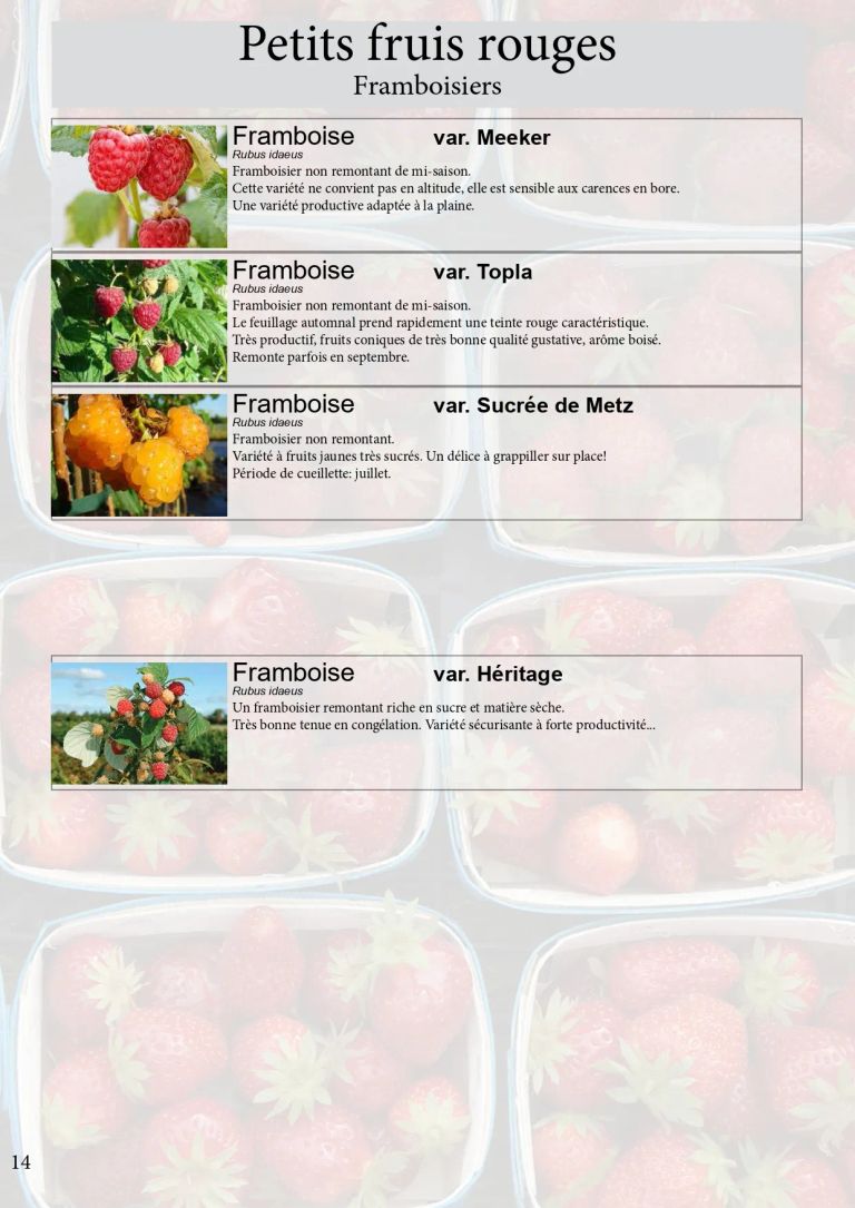 Catalogue plant2022 compresse page 0024