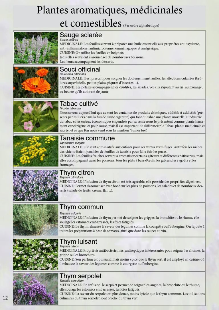 Catalogue plant2022 compresse page 0022