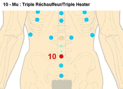 10 mu triple rechauffeur triple heater