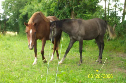 Mes images290406 010