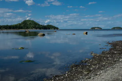Road trip en Gaspésie #1