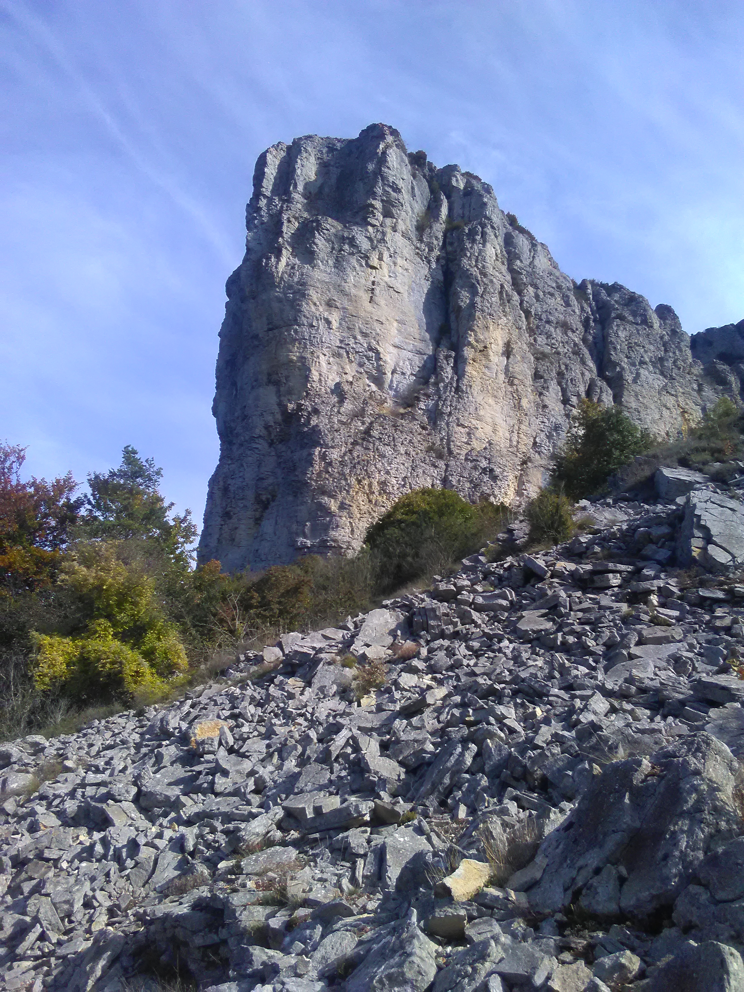 IMG 20211019 151050