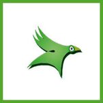Oiseau vert1