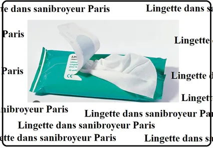lingette dans sanibroyeur paris