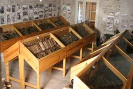 Musee 3