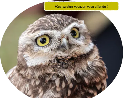 Restez chez vous bretzel