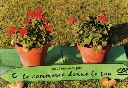 1993 le commerce donne le ton