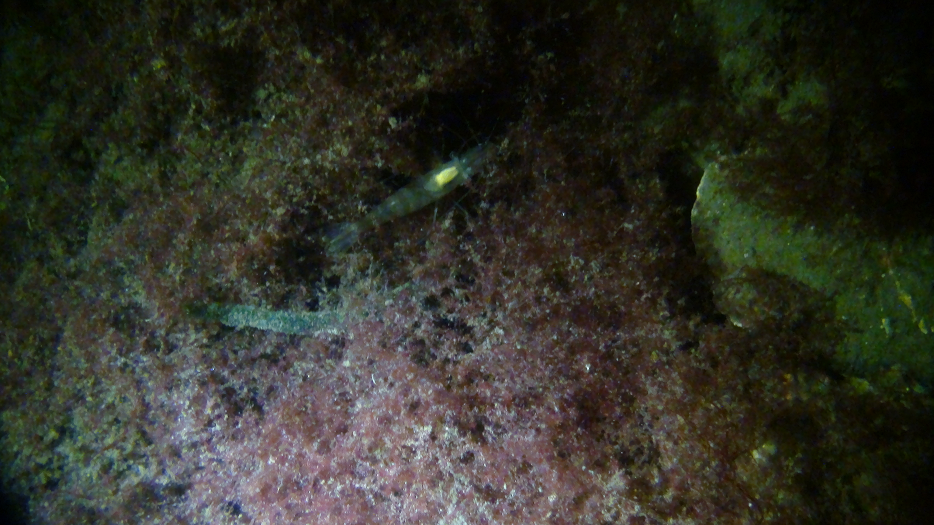 Dsc02388