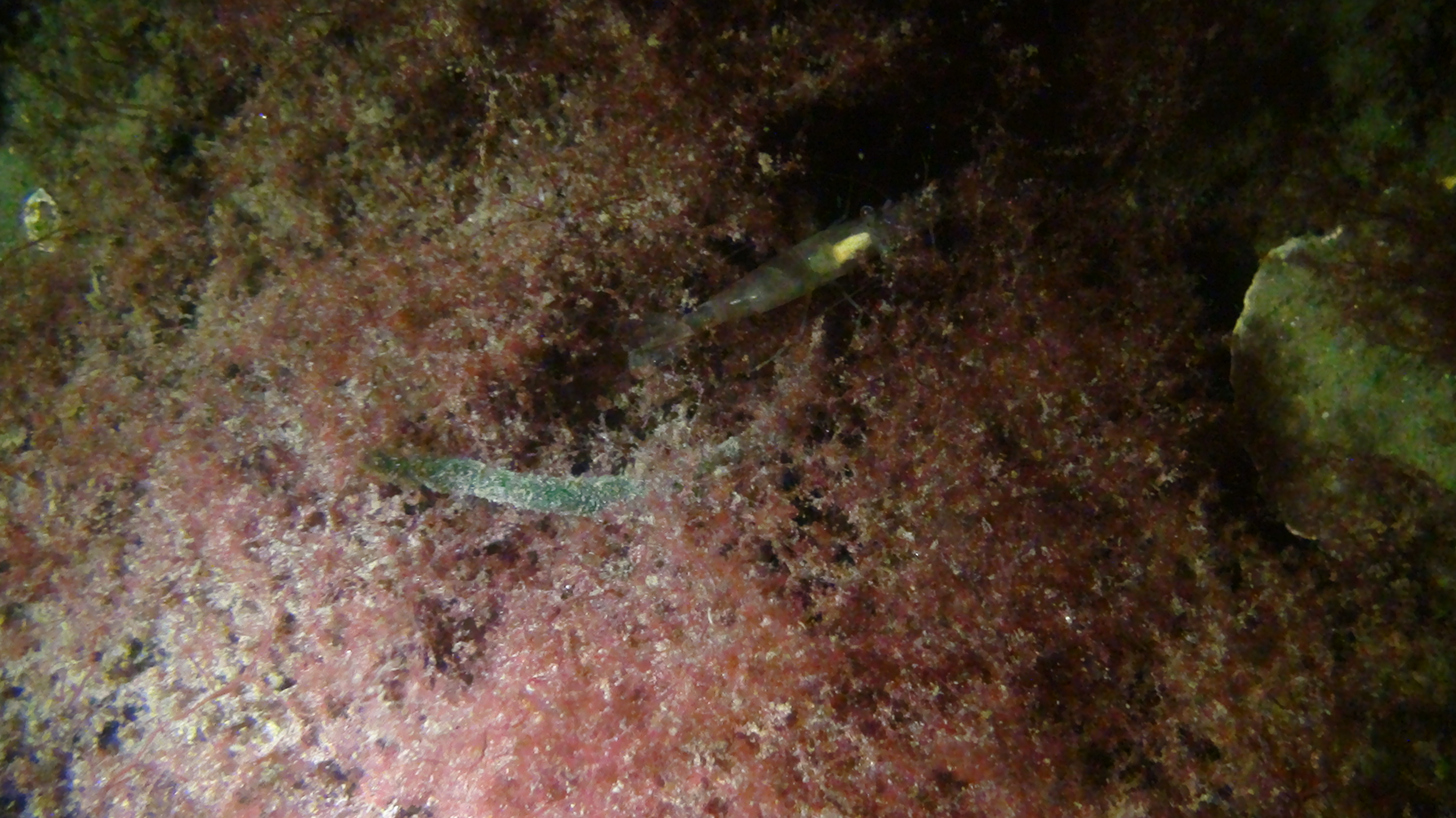 Dsc02389