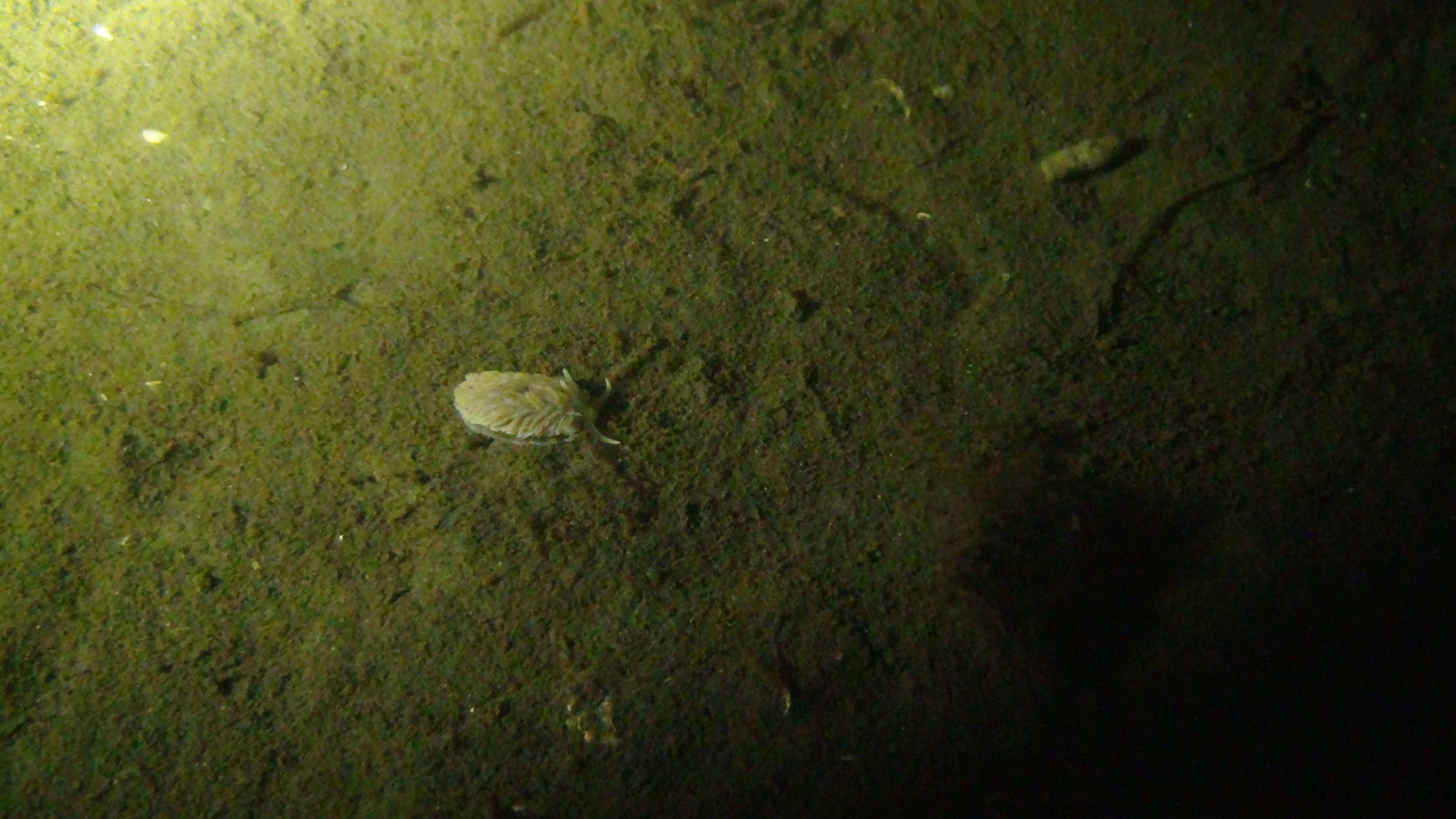 Dsc02395