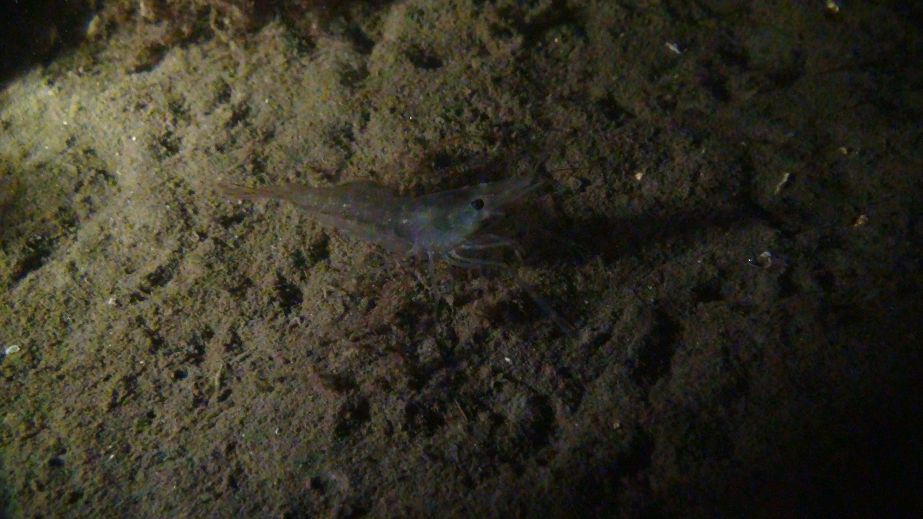 Dsc02400
