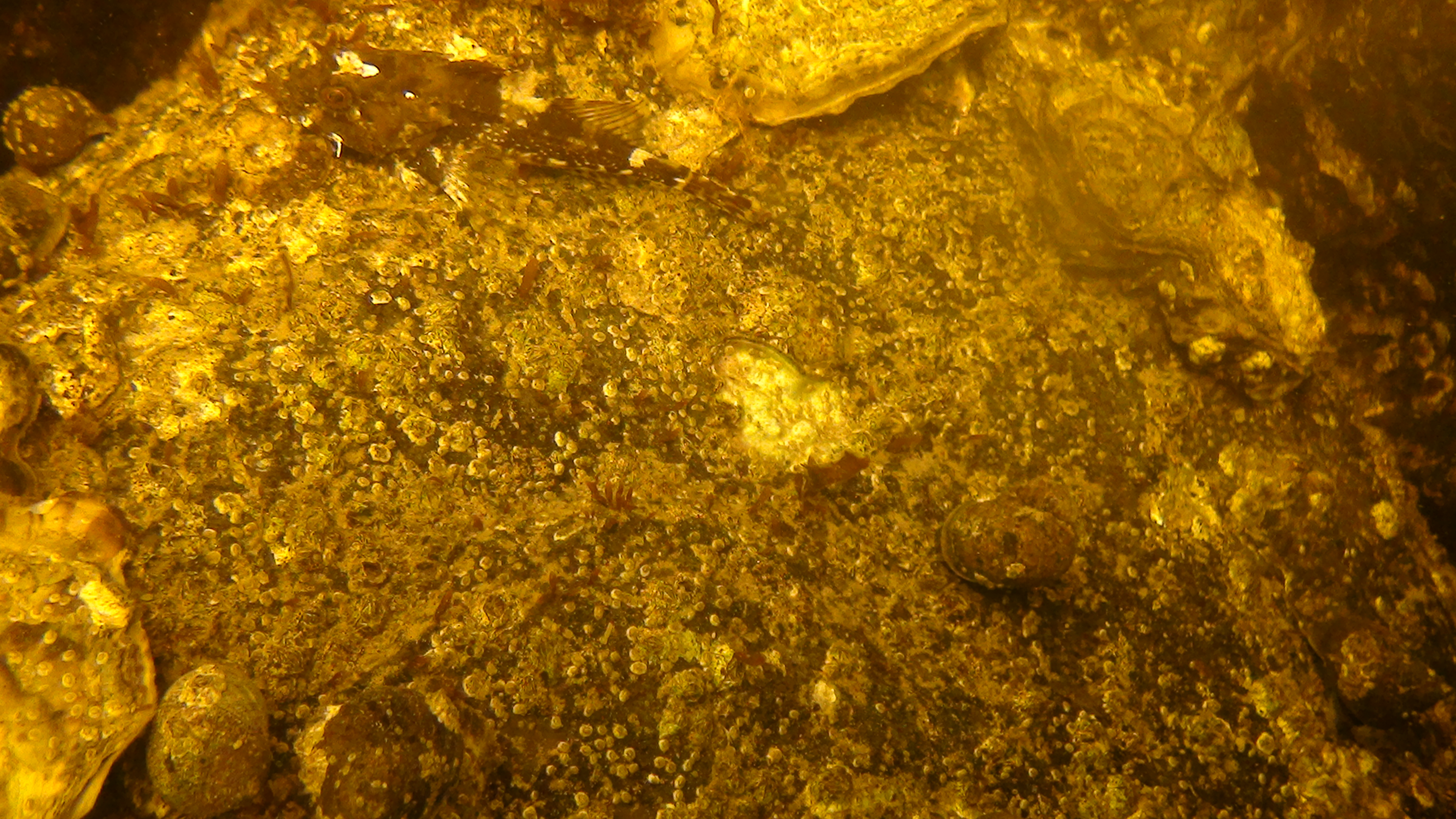Dsc02450