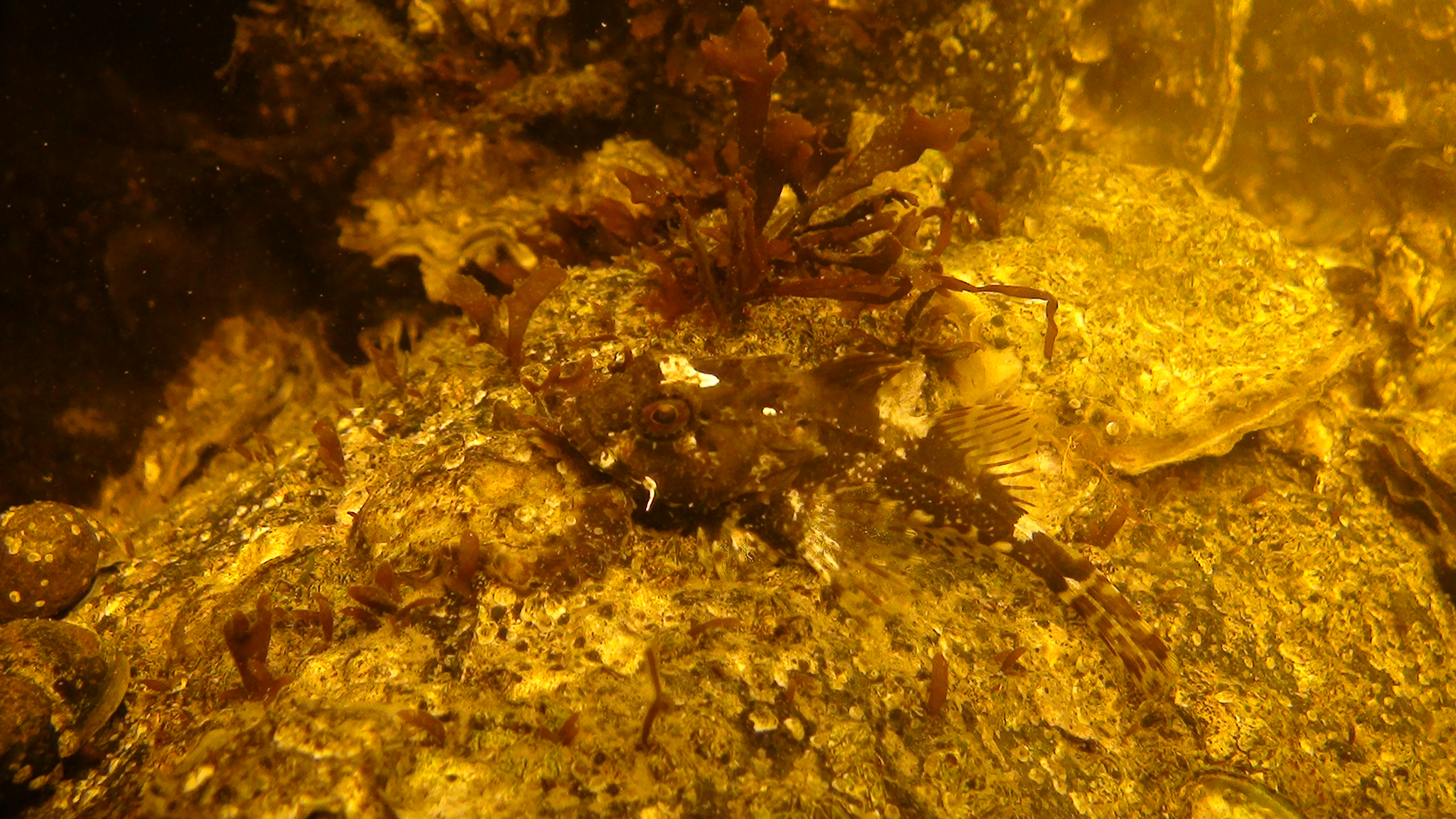 Dsc02451