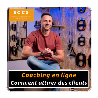 Formation pour les coachs sportifs animée par François Gerin, spécialiste du coaching en ligne. 