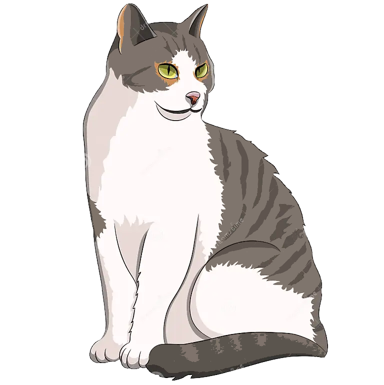 Chat-Fille-1-