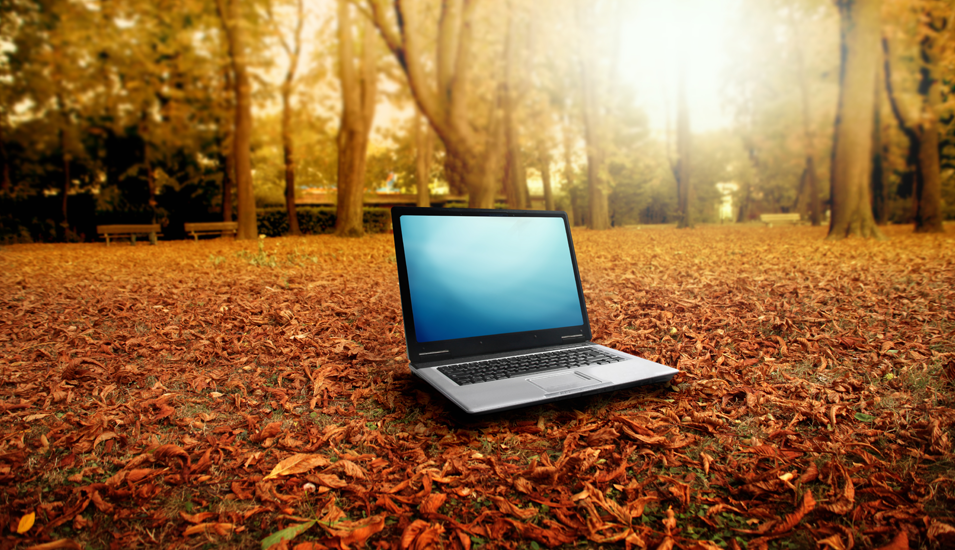 Top 16 des idées marketing à mettre en place cet automne