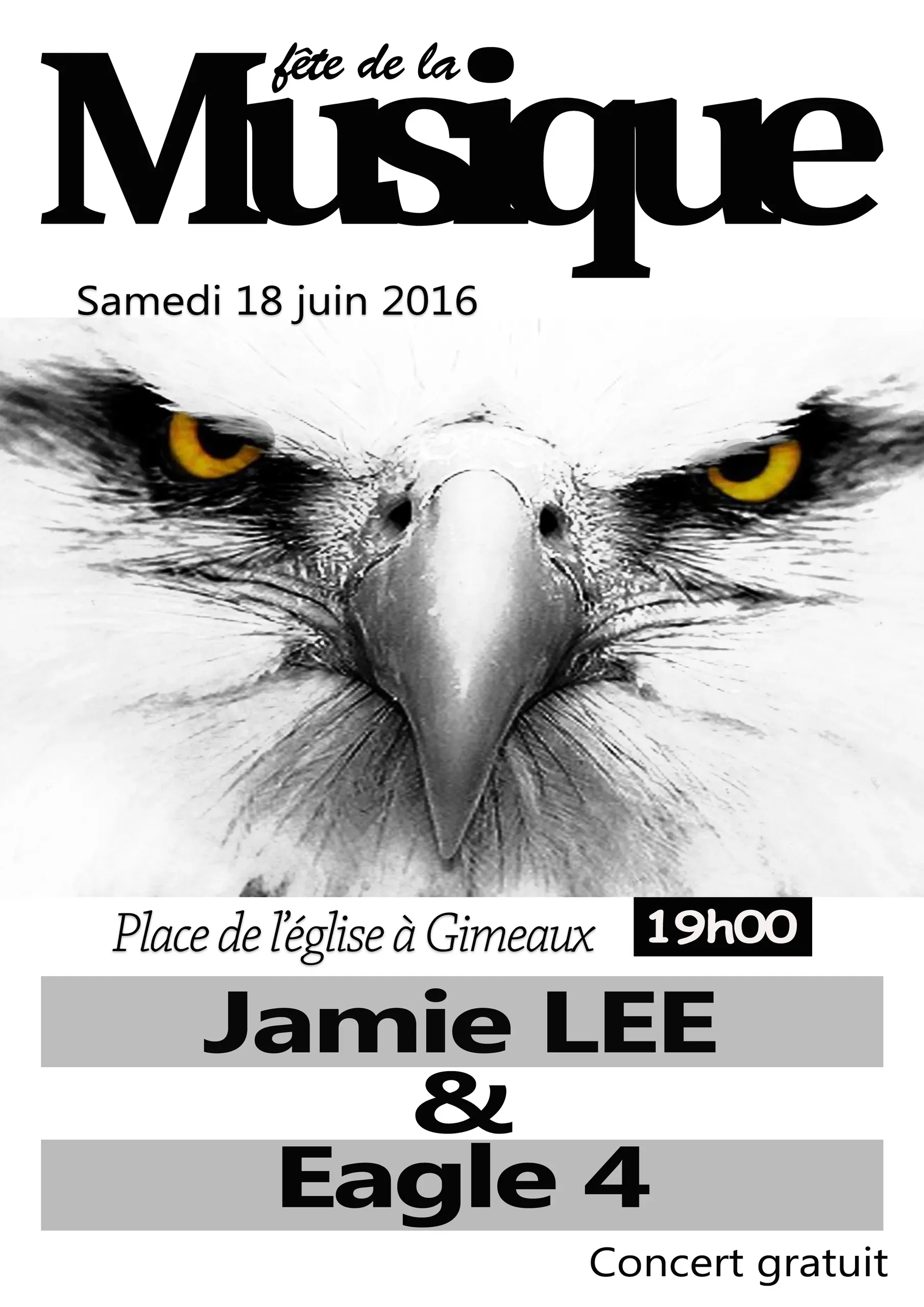 Flyer fdm 2016