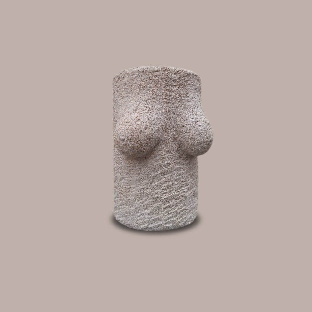 Pierravinseins01