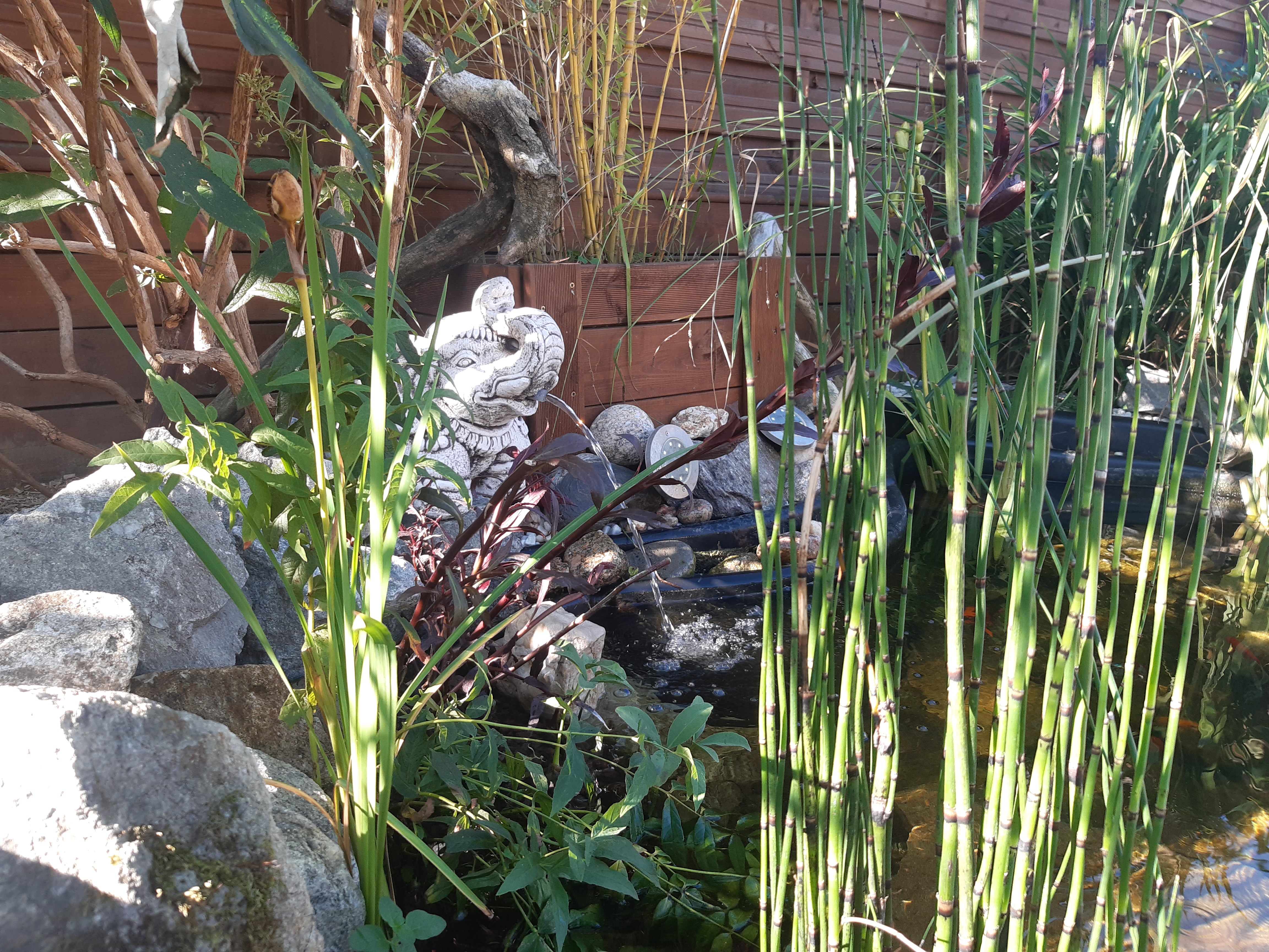 03 creation de bassin vienne 38200