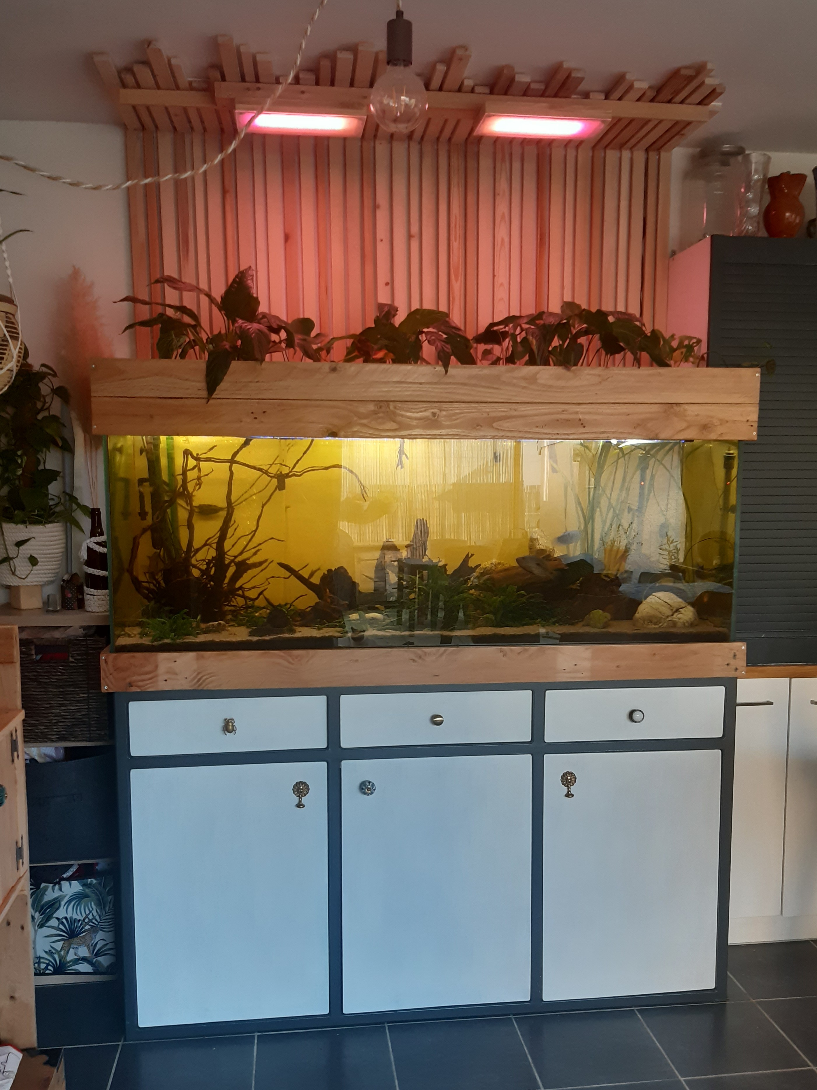 06 habillage bois aquarium vienne 38