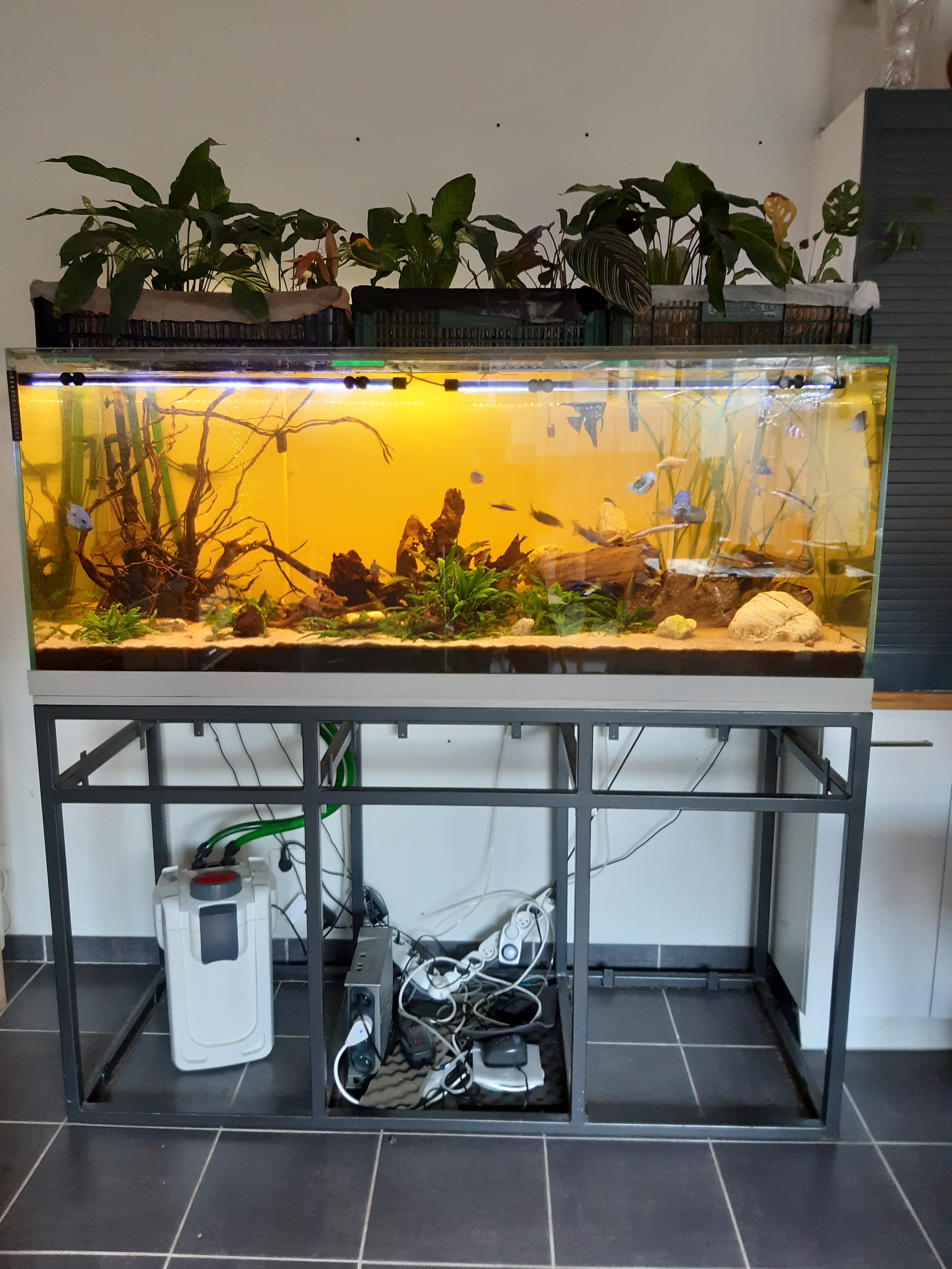 01 amenagement aquarium vienne 38