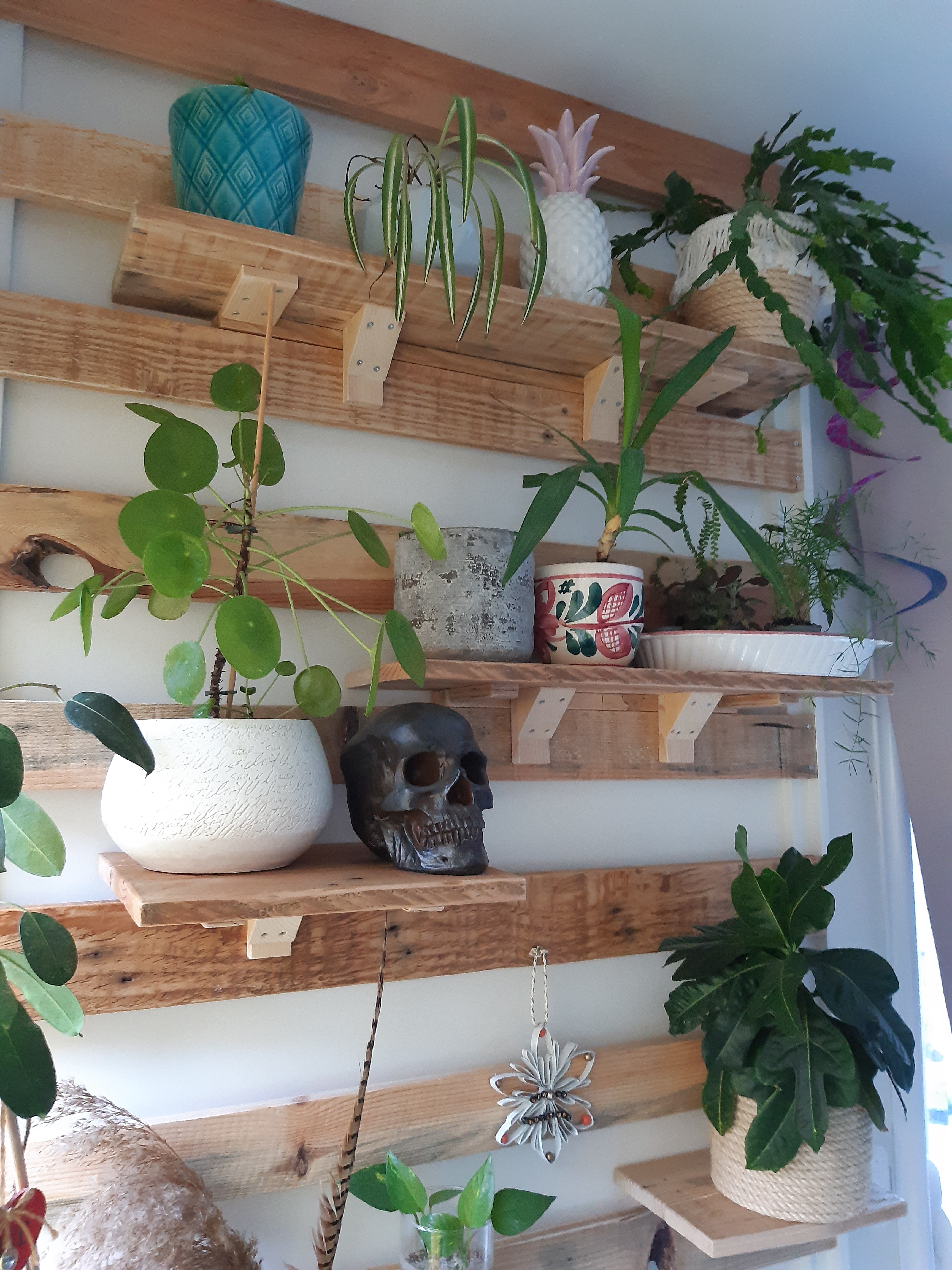 Mur vegetal interieur 10 