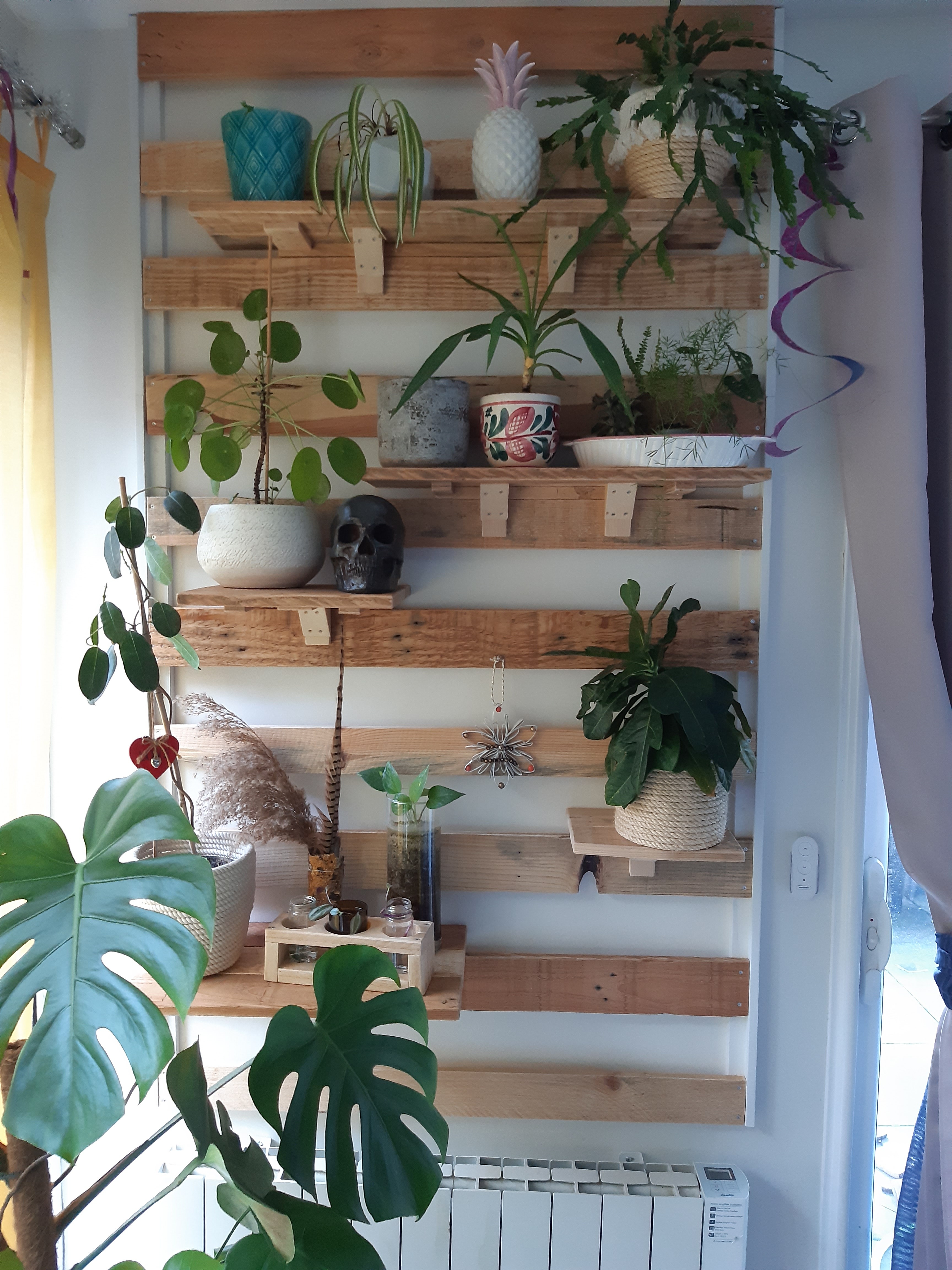 Mur vegetal interieur 6 