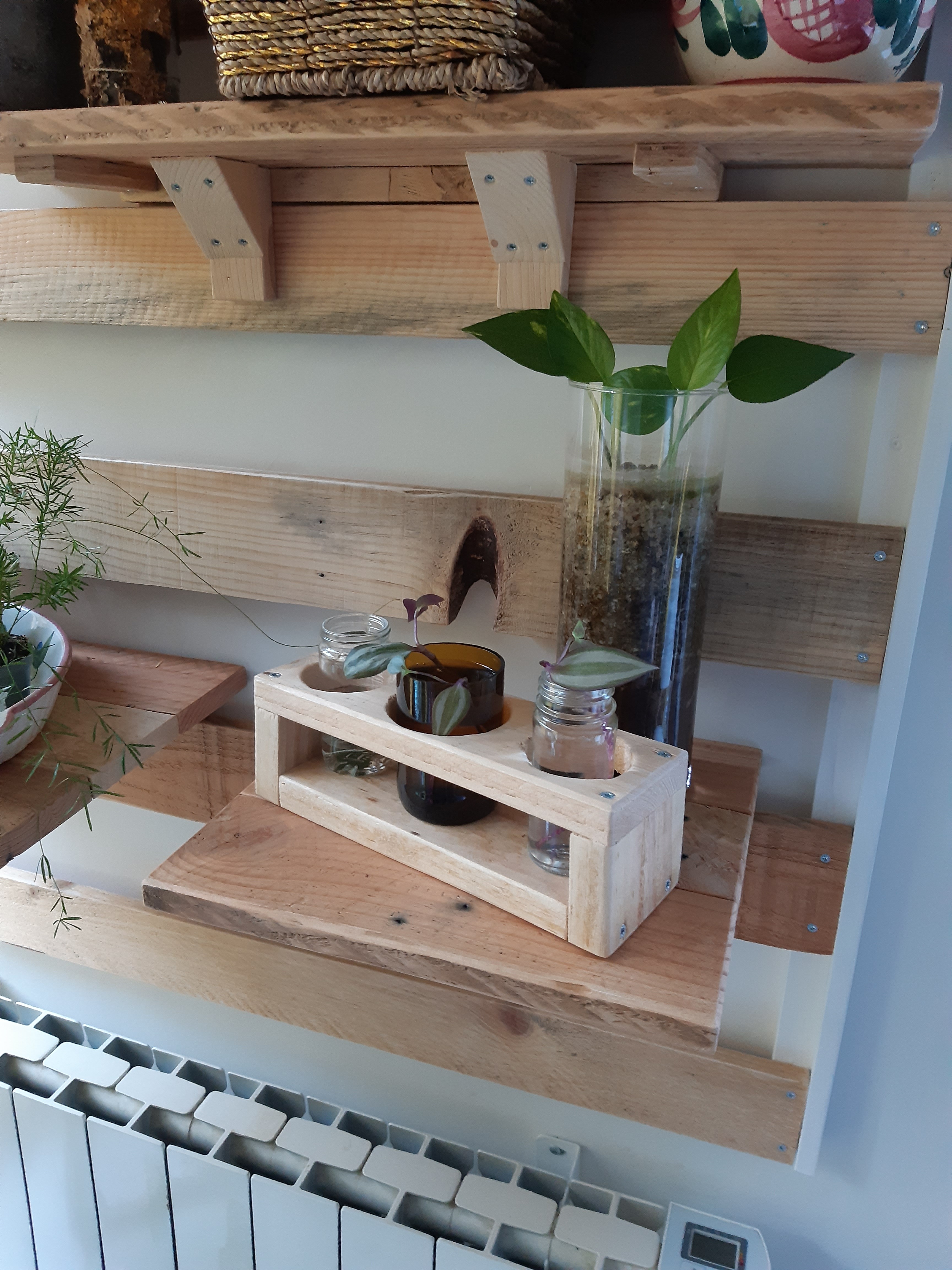 Mur vegetal interieur 5 