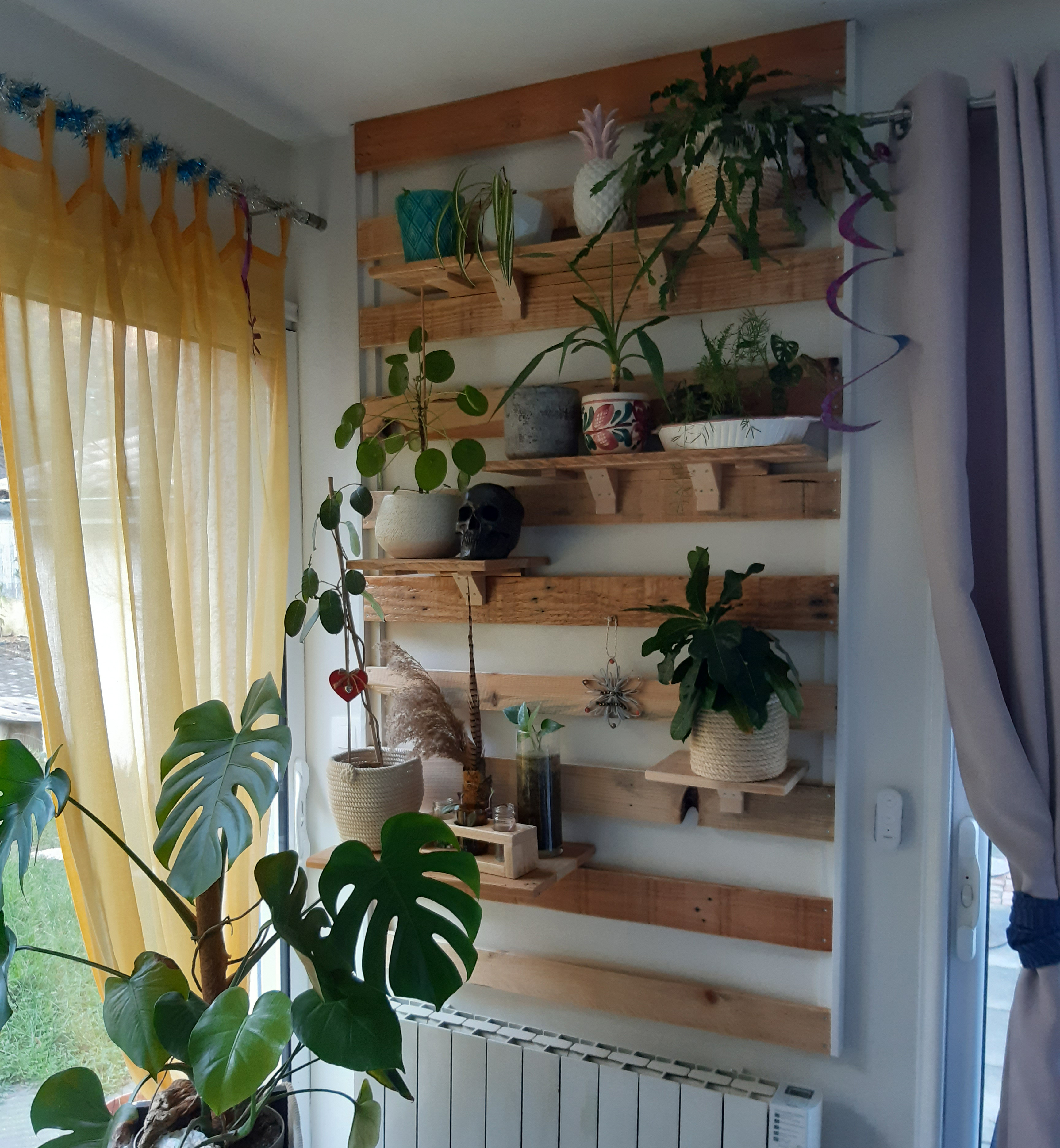 Mur vegetal interieur 12 