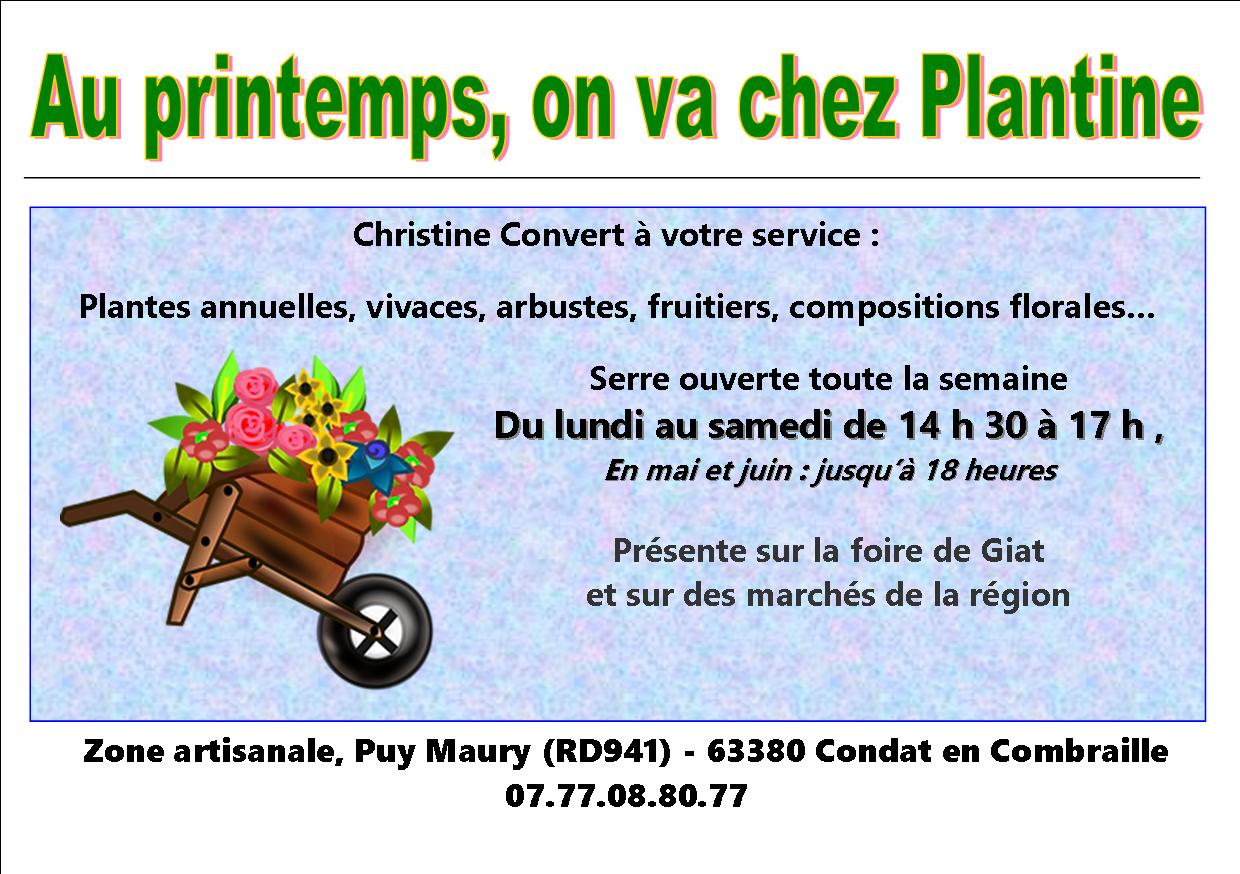 Pub-plantine