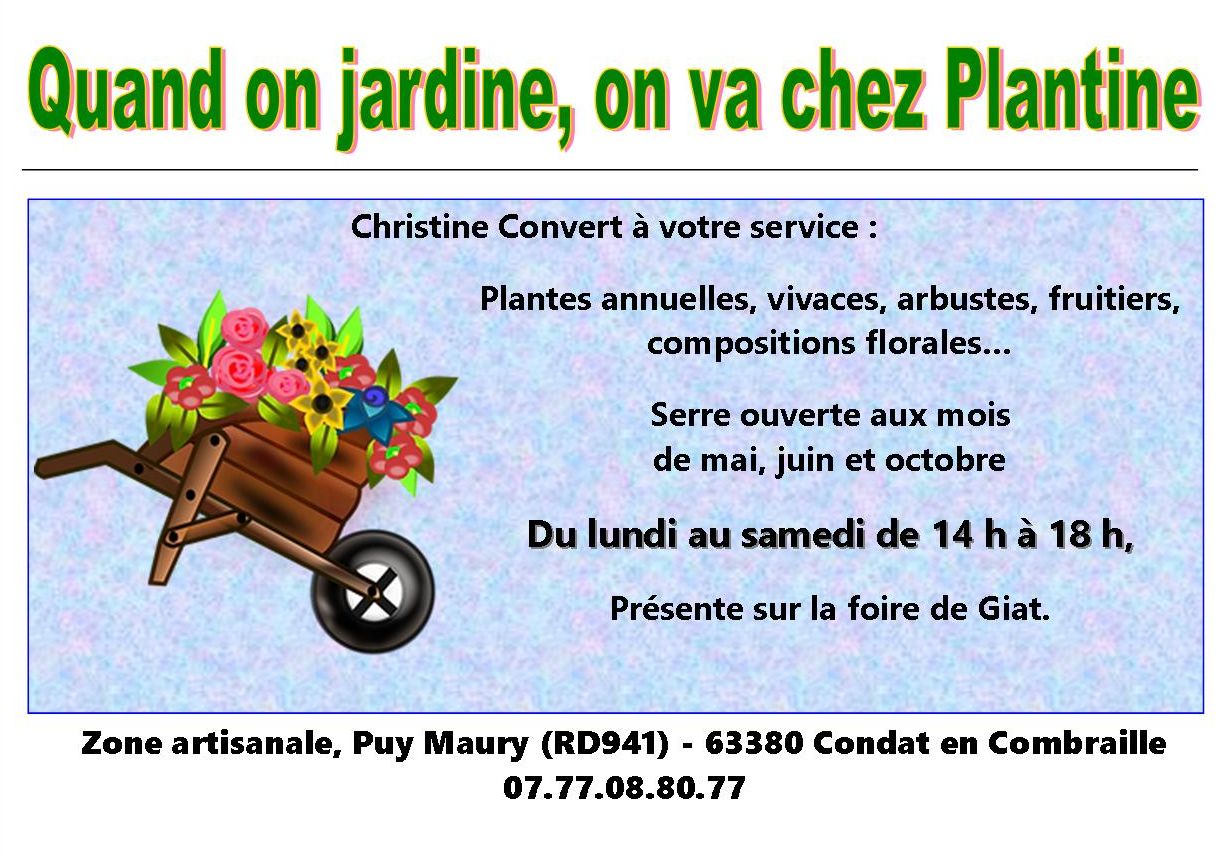 Pub-plantine