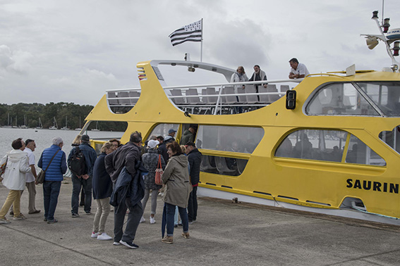Vedettes jaunes02