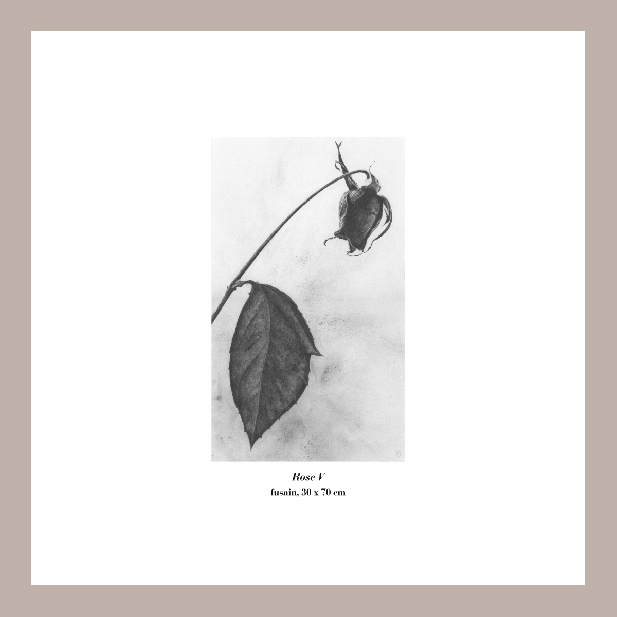 Rosev