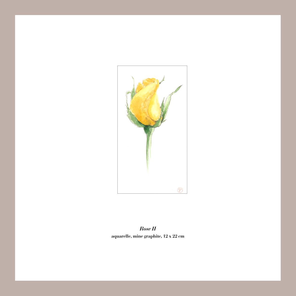 Roseii